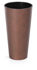Цветочный горшок Prosperplast Tubus Slim Corten DTUS150C-7601U, ржавая сталь цена и информация | Вазоны | kaup24.ee