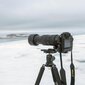 Tamron 150-500mm f/5-6.7 Di III VC VXD objektiiv Nikonile hind ja info | Objektiivid | kaup24.ee