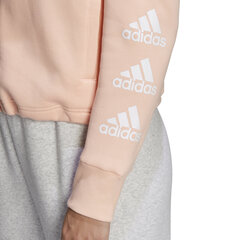 Dressipluus naistele Adidas W Stacked Fz Hd, roosa цена и информация | Женские толстовки | kaup24.ee