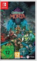 Children of Morta, Nintendo Switch цена и информация | Компьютерные игры | kaup24.ee