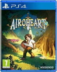 Сердце воздуха для PS4 цена и информация | Компьютерные игры | kaup24.ee