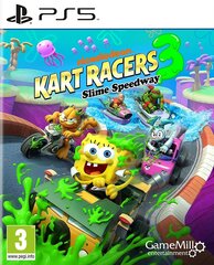 Nickelodeon Kart Racers 3 hind ja info | Arvutimängud, konsoolimängud | kaup24.ee