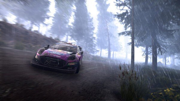 WRC Generations, Nintendo Switch цена и информация | Arvutimängud, konsoolimängud | kaup24.ee