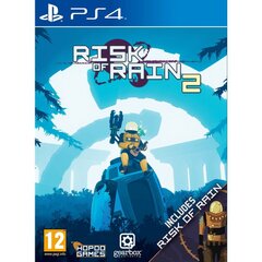 Risk of Rain 2, PS4 цена и информация | Компьютерные игры | kaup24.ee