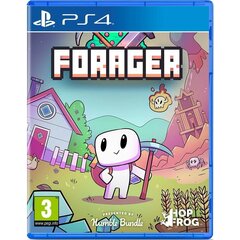 Forager, PS4 цена и информация | Компьютерные игры | kaup24.ee