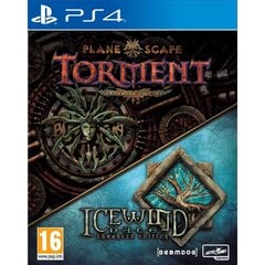 Planescape: Torment & Icewind Dale E.E, PS4 цена и информация | Компьютерные игры | kaup24.ee