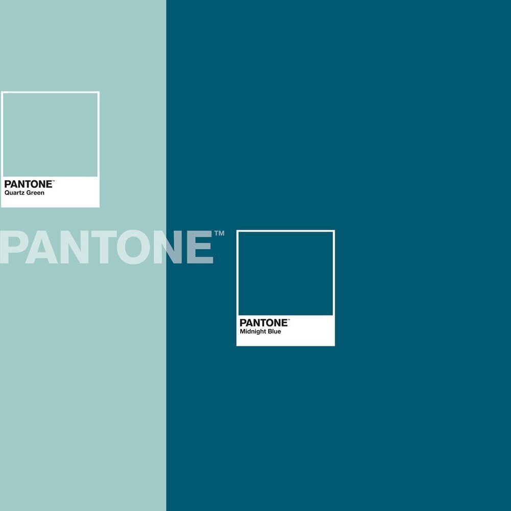 Tekikott Two Colours Pantone hind ja info | Voodipesu | kaup24.ee