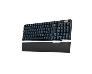 Mechanical keyboard Royal Kludge RK96 RGB, red switch (blue) цена и информация | Клавиатура с игровой мышью 3GO COMBODRILEW2 USB ES | kaup24.ee
