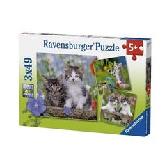 Пазл Ravensburger Kittens, 3x49 дет. цена и информация | Пазлы | kaup24.ee