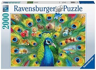 Ravensburger Peacock pusle 16567, 2000 цена и информация | Пазлы | kaup24.ee