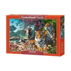 Пазл Святилище тигров, 3000 д. цена и информация | Пазлы | kaup24.ee