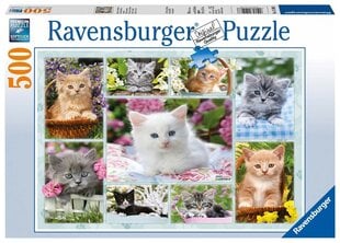 Pusle Ravensburger kassipojad korvis, 14196, 500 tk hind ja info | Pusled | kaup24.ee