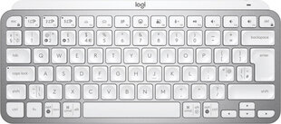 Клавиатура Logitech MX Keys Mini Azerty французский цена и информация | Клавиатуры | kaup24.ee