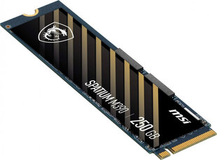 MSI Spatium M390 hind ja info | Sisemised kõvakettad (HDD, SSD, Hybrid) | kaup24.ee