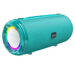 Borofone Portable Bluetooth Speaker BR13 Young turquoise цена и информация | Аудиоколонки | kaup24.ee