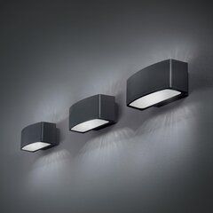 Ideal Lux lamp Andromeda Ap1 Anthracite 61580 цена и информация | Настенные светильники | kaup24.ee