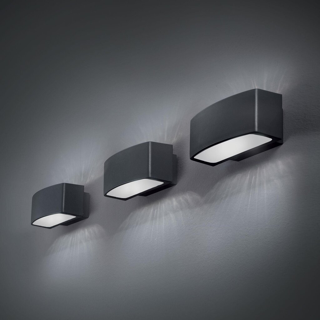 Ideal Lux lamp Andromeda Ap1 Anthracite 61580 цена и информация | Seinavalgustid | kaup24.ee