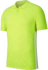 T-särk poistele Nike Junior Dry Academy 19 Polo M BQ1500-702, roheline hind ja info | Jalgpalli varustus ja riided | kaup24.ee