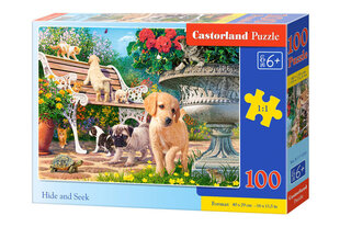 Pusle Castorland Hide and Seek, 100 tk hind ja info | Pusled | kaup24.ee