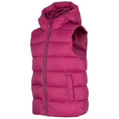 Tüdrukute vest 4F Jr HJZ22 JKUDP002 53S, roosa цена и информация | Свитеры, жилетки, пиджаки для девочек | kaup24.ee