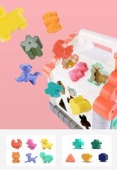 Maja sorteerija hind ja info | Imikute mänguasjad | kaup24.ee