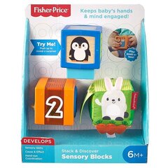 Värviliste loomade klotside komplekt Fisher-Price цена и информация | Игрушки для малышей | kaup24.ee