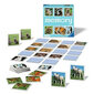 Mälumäng Ravensburger Grand Memory Theme: Small animals, EN hind ja info | Lauamängud ja mõistatused | kaup24.ee