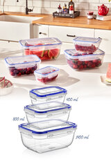Комплект контейнеров для хранения продуктов, 3 шт. цена и информация | Посуда для хранения еды | kaup24.ee