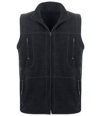 Acalmar vest 6 napapijri for men's navy np0a4h8g176 NP0A4H8G176 цена и информация | Мужские жилетки | kaup24.ee