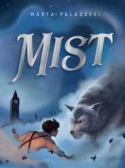 Mist цена и информация | Книги для подростков и молодежи | kaup24.ee