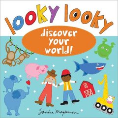 Looky Looky: Discover Your World цена и информация | Книги для малышей | kaup24.ee