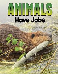 Animals Have Jobs цена и информация | Книги для подростков и молодежи | kaup24.ee