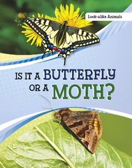 Is It a Butterfly or a Moth? hind ja info | Noortekirjandus | kaup24.ee