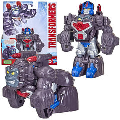 Transformer 2in1 figuur hind ja info | Poiste mänguasjad | kaup24.ee