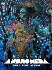 Aquaman: Andromeda цена и информация | Фантастика, фэнтези | kaup24.ee