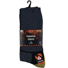 Мужские рабочие носки Apollo 12543, разного цвета, 3 пары цена и информация | apollo Сантехника, ремонт, вентиляция | kaup24.ee