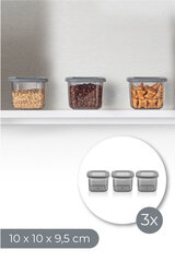 Hermia konteiner puistetoodete jaoks, 0,55 l, 3 tk. цена и информация | Посуда для хранения еды | kaup24.ee
