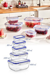 Набор контейнеров для хранения продуктов, 5 шт. цена и информация | Посуда для хранения еды | kaup24.ee