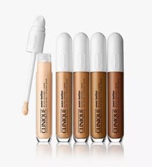 Консилер Clinique Even Better All Over Concealer+Eraser, WN Cashew, 6 мл цена и информация | Пудры, базы под макияж | kaup24.ee