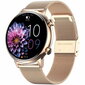 HK39 Gold цена и информация | Nutikellad (smartwatch) | kaup24.ee