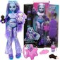 Suur nukk Monster High Abbey Bominable 30 cm + tarvikud lemmikloomad hind ja info | Tüdrukute mänguasjad | kaup24.ee