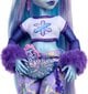 Suur nukk Monster High Abbey Bominable 30 cm + tarvikud lemmikloomad hind ja info | Tüdrukute mänguasjad | kaup24.ee