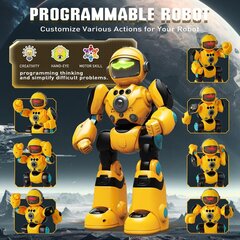 Интерактивный радиоуправляемый робот Remote Control Robot цена и информация | Развивающий мелкую моторику - кинетический песок KeyCraft NV215 (80 г) детям от 3+ лет, бежевый | kaup24.ee