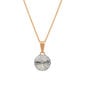 Naiste kaelakee DiamondSky "Clarice II" Swarovski kristallidega DS01K611 цена и информация | Kaelakeed | kaup24.ee