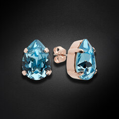 Naiste kõrvarõngad Diamond Sky „Venus II (Aquamarine)“ koos Swarovski kristallidega DS02A662 hind ja info | Kõrvarõngad | kaup24.ee
