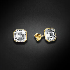 Серебряные серьги Diamond Sky "Империум II" с кристаллами Swarovski™ DS02A659 цена и информация | Серьги | kaup24.ee