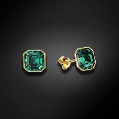 Naiste kõrvarõngad Diamond Sky „Imperial II (Emerald)“ koos Swarovski kristallidega DS02A658 цена и информация | Серьги | kaup24.ee