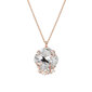 Naiste kaelakee DiamondSky "Crete" Preciosa kristallidega DS01K616 hind ja info | Kaelakeed | kaup24.ee