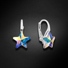 Naiste kõrvarõngad Diamond Sky „Starfall (Aurora Borealis)“ koos Swarovski kristallidega DS02A634 цена и информация | Серьги | kaup24.ee