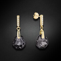 Naiste kõrvarõngad Diamond Sky „Calathea (Silver Night)“ koos Swarovski kristallidega DS02A633 hind ja info | Kõrvarõngad | kaup24.ee